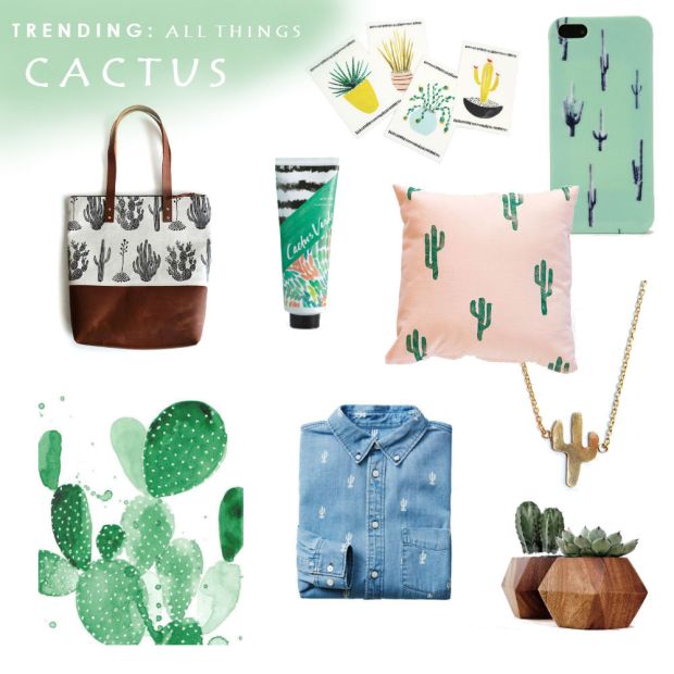 cactus trend