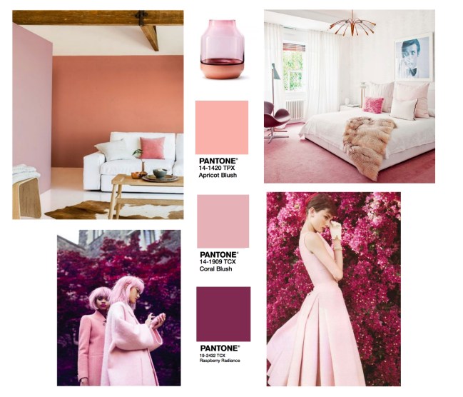 Pink Apricot and Berry