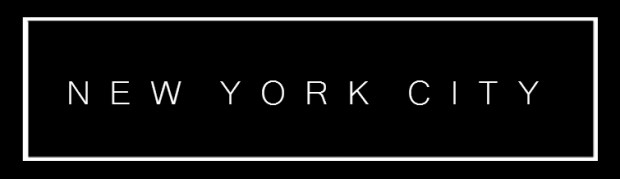 newyorkbanner